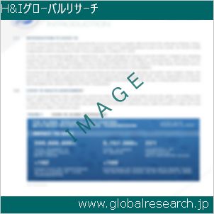 グローバルリサーチ調査レポートのイメージ